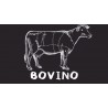 Bovino Adulto